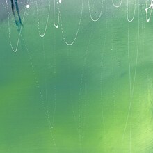 オオヤユウスケ「Photograph」配信ジャケット