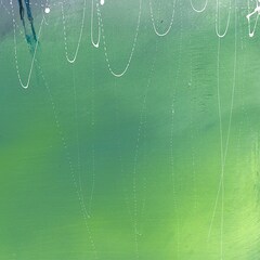 Polarisオオヤユウスケの4作連続配信リリース第2弾、自主企画イベントに下津光史