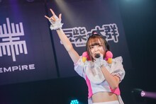 ミユキエンジェル（豆柴の大群）