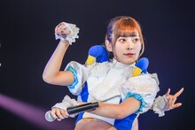 ナオ・オブ・ナオ（豆柴の大群）