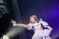 カエデフェニックス（豆柴の大群）