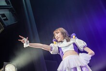 カエデフェニックス（豆柴の大群）