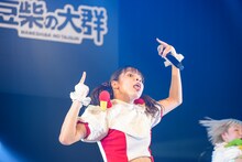 アイカ・ザ・スパイ（豆柴の大群）