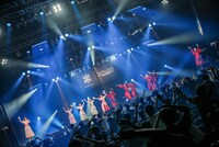 豆柴の大群とEMPiRE。