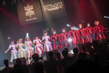 豆柴の大群とEMPiRE。