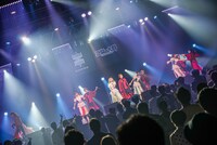 豆柴の大群とEMPiRE。