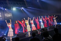 豆柴の大群とEMPiRE。