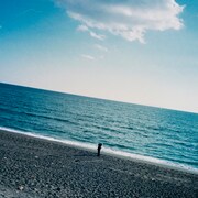 リーガルリリー「風をあつめて」配信ジャケット