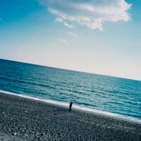 リーガルリリー「風をあつめて」配信ジャケット