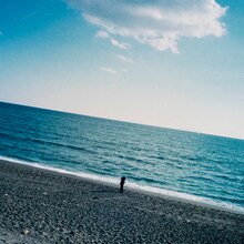 リーガルリリー「風をあつめて」配信ジャケット