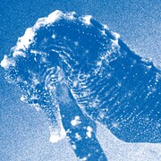 青葉市子「"Windswept Adan" Concert at Bunkamura Orchard Hall(Live)」配信ジャケット