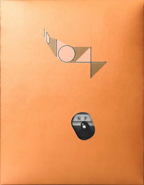 ドレスコーズ「ID10＋ TOUR」特装盤ジャケット