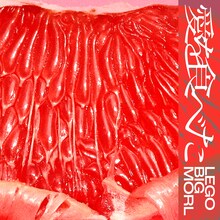 LEGO BIG MORL「愛を食べた」配信ジャケット