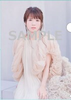 藤田麻衣子「忘れられない人」購入者特典スヌードクリアファイルサンプル画像