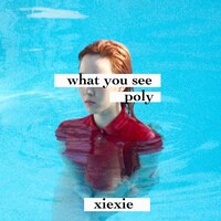 xiexie「what you see / poly」配信ジャケット