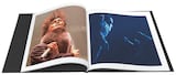 BOØWY「BOØWY Special Photo Book」書影