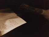 高岩遼