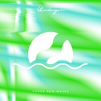 Yogee New Waves「WINDORGAN」ジャケット