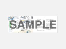 Yogee New Waves「WINDORGAN」ビクターオンラインストア限定盤に付属するZINEのイメージ画像。