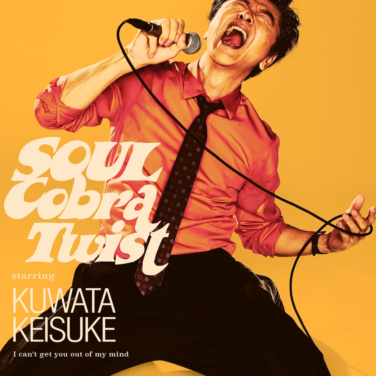 桑田佳祐「Soulコブラツイスト～魂の悶絶」配信ジャケット