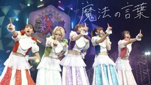 豆柴の大群「魔法の言葉」ライブ映像より。
