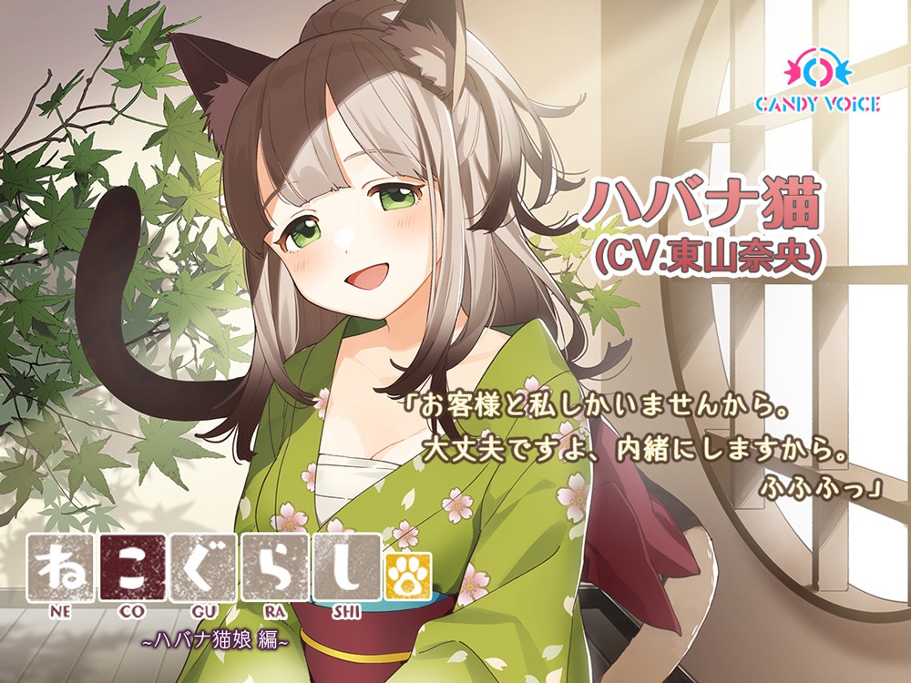 「新・ねこぐらし。」ハバナ猫娘 ビジュアル