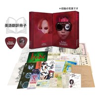 「hide Perfect Treasures Premium International version」展開図サンプル