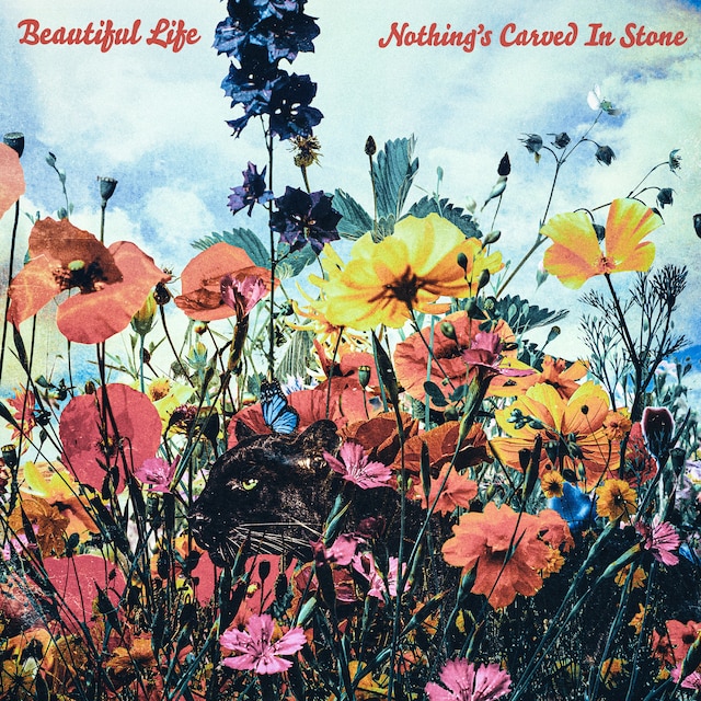 Nothing's Carved In Stone「Beautiful Life」配信ジャケット