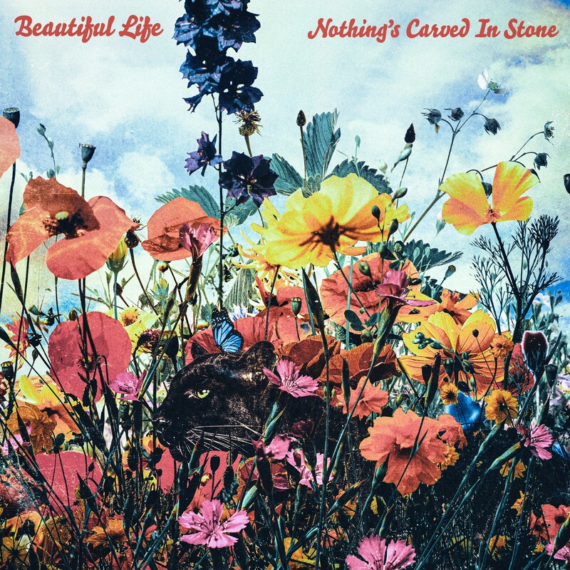 Nothing's Carved In Stone「Beautiful Life」配信ジャケット