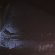 gato「noname」配信ジャケット