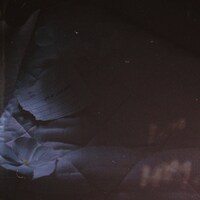 gato「noname」配信ジャケット