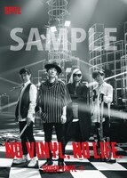 スピッツ「NO VINYL, NO LIFE.」ポスターサンプル画像