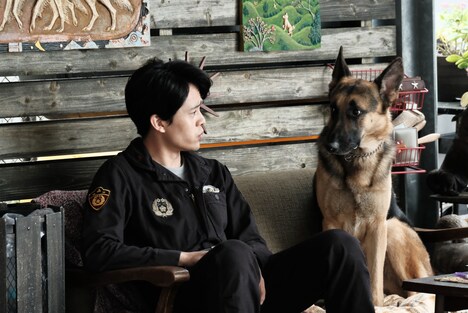 「オリバーな犬、（Gosh!!）このヤロウ」より。(c)NHK