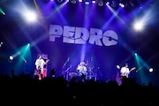 PEDRO「SENTIMENTAL POOLSIDE TOUR」東京公演の様子。（撮影：外林健太）