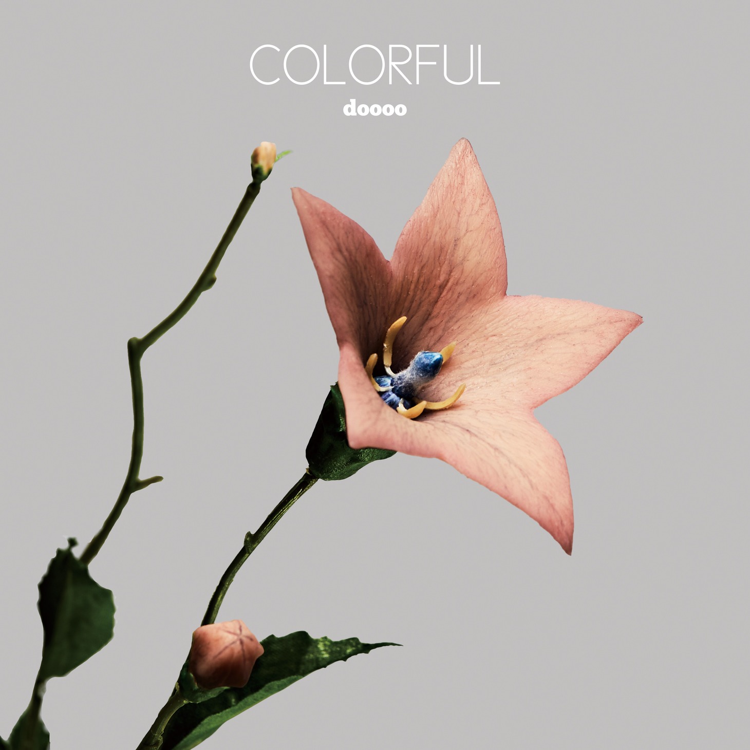 doooo「COLORFUL」ジャケット