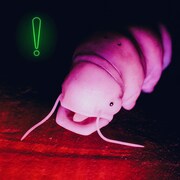 Dos Monos「OCCUPIED!」配信ジャケット