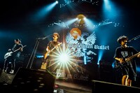 9mm Parabellum Bullet（撮影：西槇太一）