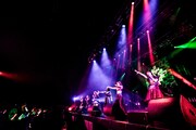 ZOC「ZOC FOR PRAYER TOUR 2021 SUMMER」東京・Zepp Haneda（TOKYO）公演の様子。
