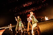 ZOC「ZOC FOR PRAYER TOUR 2021 SUMMER」東京・Zepp Haneda（TOKYO）公演の様子。