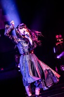 雅雀り子（ZOC）