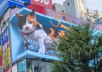 新宿駅前大型ビジョンで放映されるコラボ映像のイメージ。