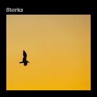 Storks「Storks」ジャケット