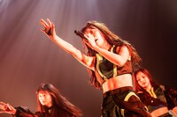 ブラジル（MIGMA SHELTER）