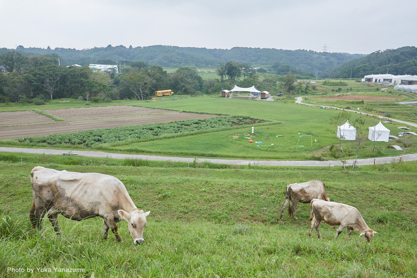 KURKKU FIELDSの風景。(c)ap bank