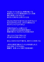 先輩（どついたるねん）コメント