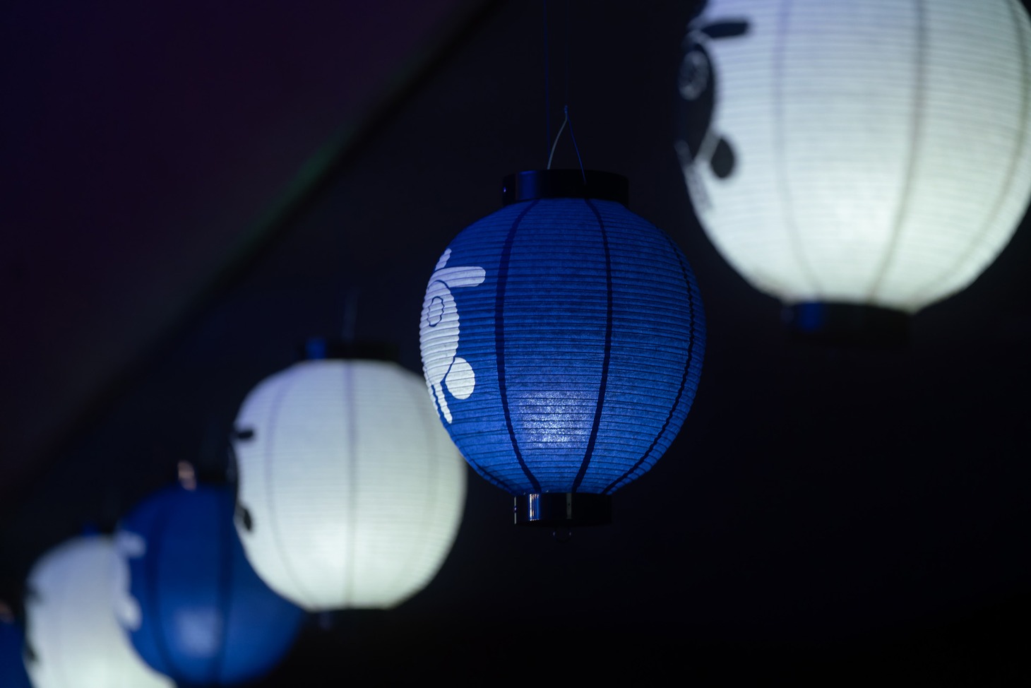 「京都音楽博覧会」ステージ画像（撮影：井上嘉和）