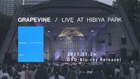 GRAPEVINE「LIVE AT HIBIYA PARK」トレイラー映像より。