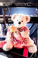 ナナちゃん（Photo by Masayo）