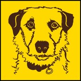 PHONO TONES「Jack Russell」配信ジャケット