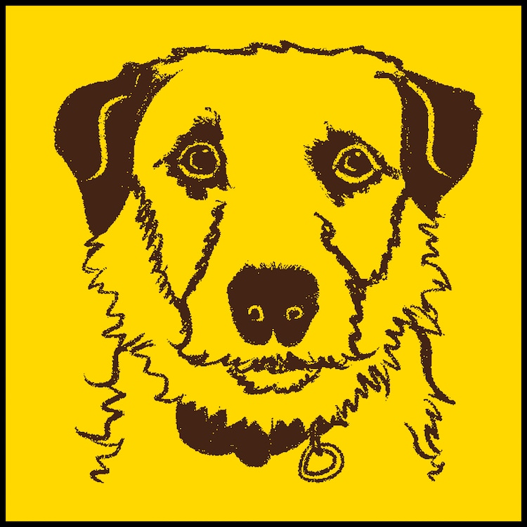 PHONO TONES新曲「Jack Russell」リリース、伊地知潔の初監督MVはワンちゃん祭り（動画あり / コメントあり） - Vimarsana News